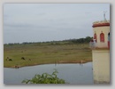p1010039.jpg