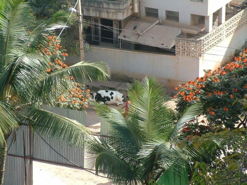 Banglore2007.jpg